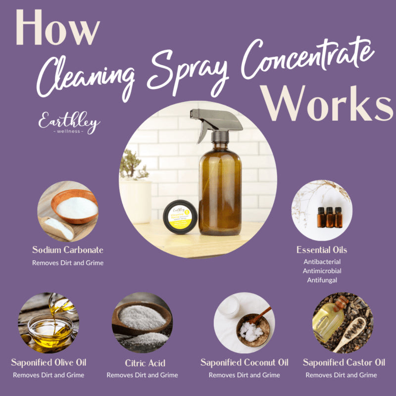 Cleaning Spray Concentrate