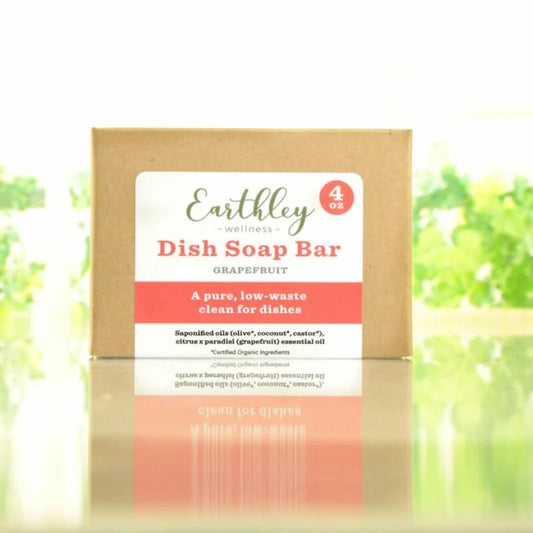 Dish Soap Bar